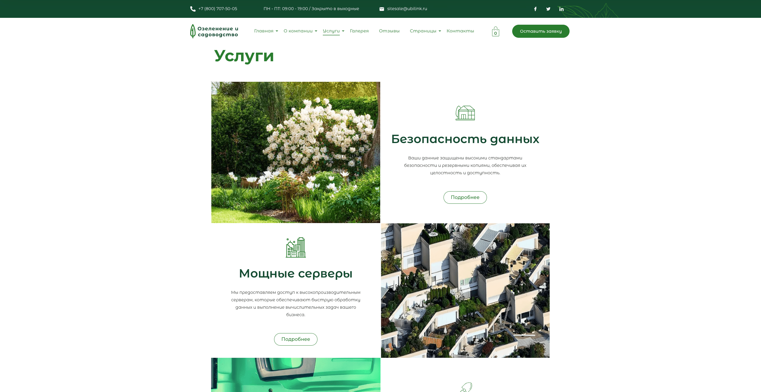 Озеленение и садоводство