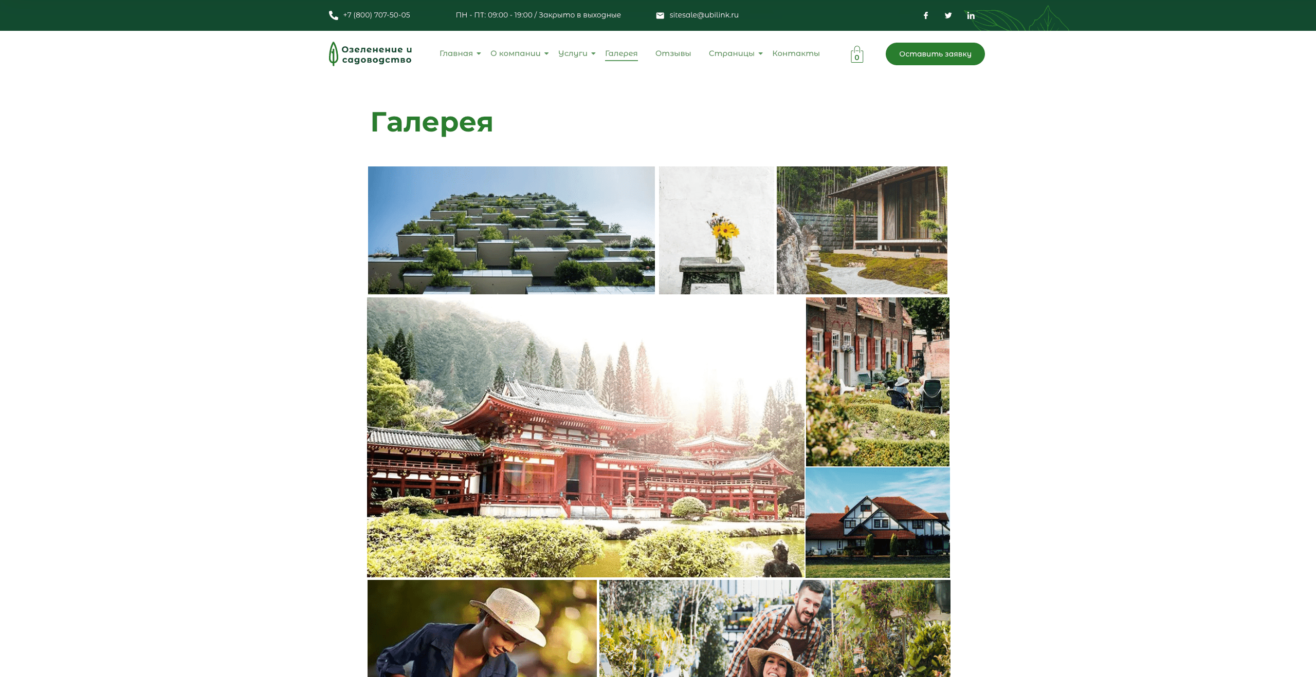 Озеленение и садоводство